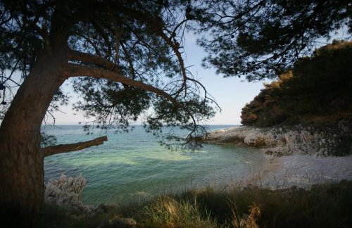 Apartment Ornela - Photo 13