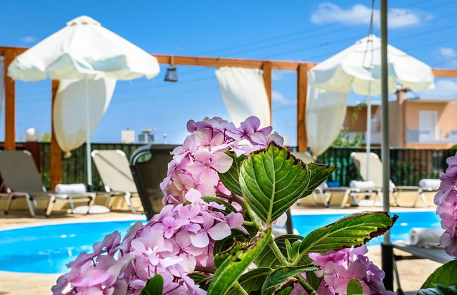 Irinoula Dreams - Photo 37