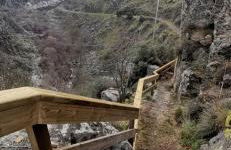 Casa das Flores - Photo 17