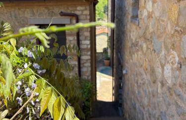 Chianti Borgo 28 - Foto 8