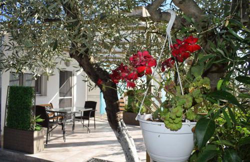 Garden Rooms - Foto 4