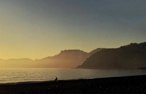 Algarrobo Azul - Foto 39