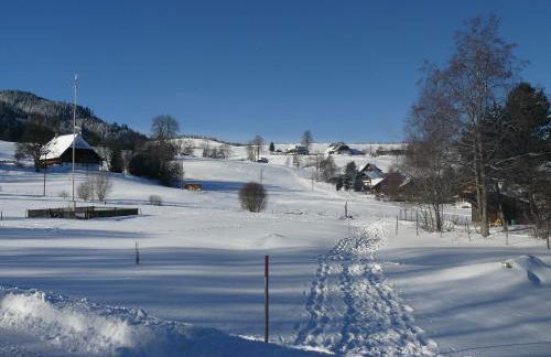 4-Sterne Ferienhaus Rösslewiese Hinterzarten - Foto 36