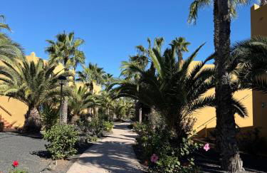 Casa Alma - Photo 35