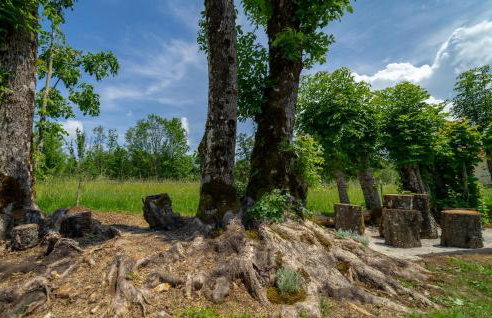 Gorgeous Home In Ravna Gora With Wifi - Foto 10