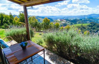 Chalé horizonte azul - Photo 54