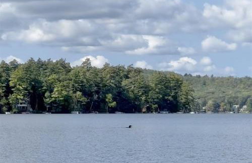 OWL HOUSE LIMIT 8 home - Foto 22