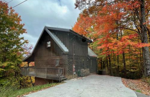 Bears Among Us - Foto 4