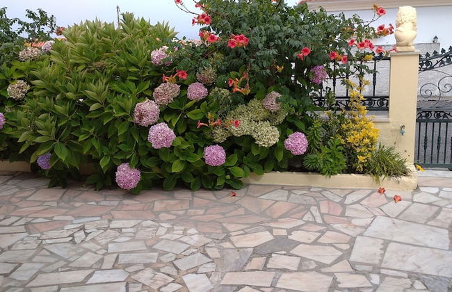 3 Bedroom Apartment in a Ground Floor of a Vila Wseparate Kitchen Living Room - Foto 35