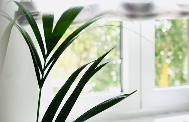 Villa Tonika - Foto 15