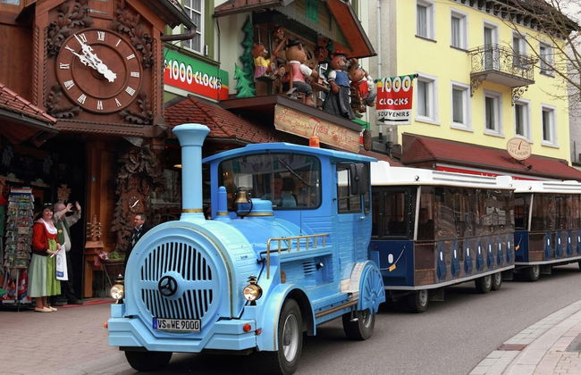 Forest Family Stay, Triberg - Foto 18