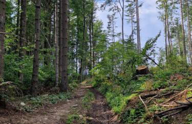 Nad Strumieniem - Foto 37