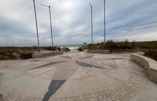 Muschel am Strand - Foto 18