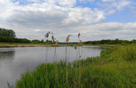 Leśniczówka Zielone Zakole - Foto 36