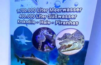 Regenbergblick - Foto 14