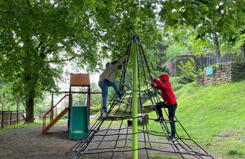 LA VILLA DES OISEAUX - La Petite Pierre - Foto 60