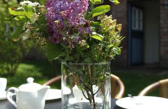 Inseltraum - Strandläufer - Foto 16