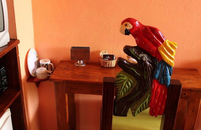 Room in B&B - Cancun Guest House 1 - Foto 9