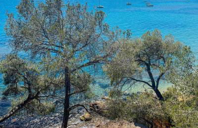 Charmant Studio - Foto 14