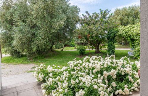 Cantagrillo Boutique Resort - Foto 32