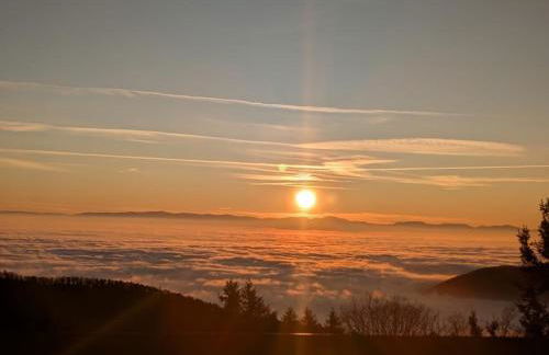 Les 3 Zepp - Foto 12