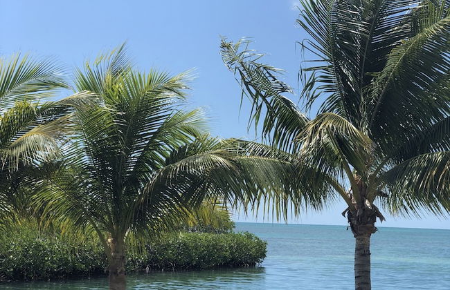 Shaka Caye - Photo 72