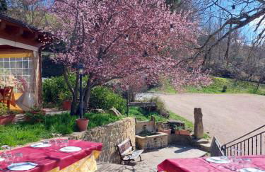 Agriturismo Roccamaia - Foto 22