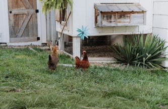 Belle Cottage - Photo 42