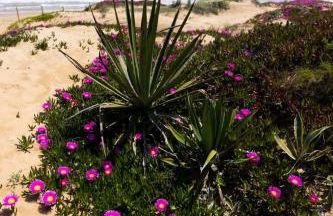 Casa Laura y Sergio - Foto 28