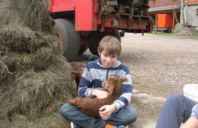 at the Organic Farm Angus-hof - Foto 14