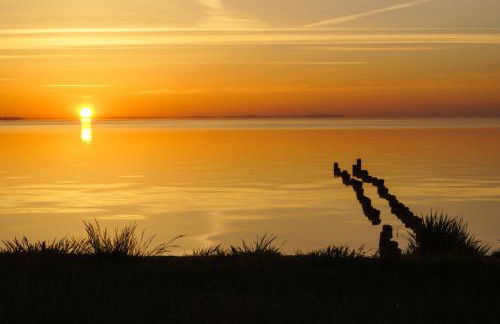 Apartment am Stettiner Haff - Foto 24