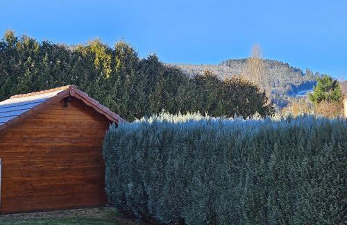 Gîte 4 à 10 Personnes avec sauna" La ferme des Sources" dans les Hautes Vosges - Foto 42