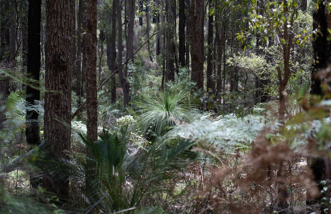 Noble River Estate - Photo 54