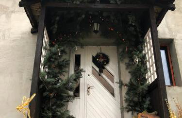 Leśna Willa - Foto 1