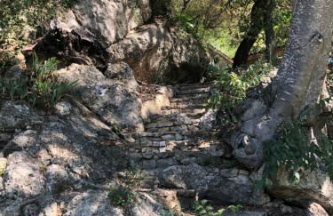 L'Olivier Fleurie Barjols - Foto 62