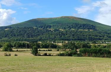 Cwtch on The meadow - Foto 1