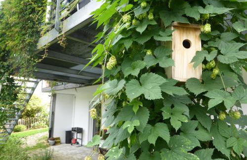 Das Nest Winterberg - Foto 35