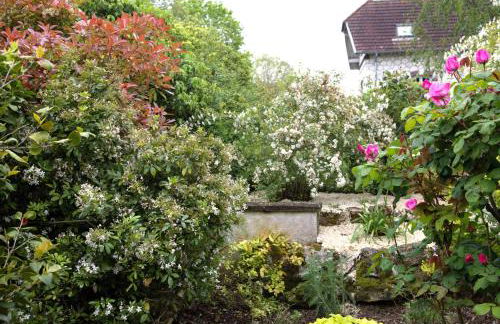 Clair logis - Foto 32