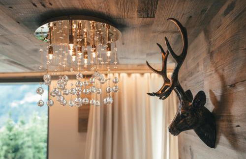 Chalet SALENA luxury lodge - Photo 62