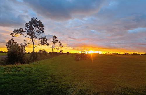 "Giseldas Rosen" - Allergikerfreundliche Ferienwohnung mit Wintergarten - Foto 23