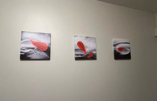 Plumes Résidence de l’Agout - Photo 18