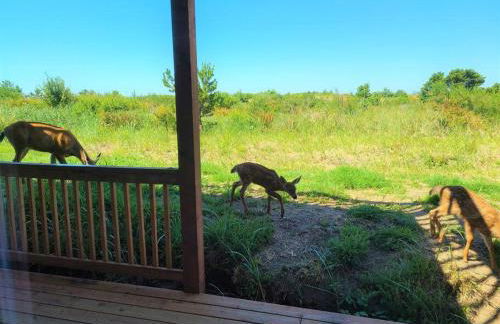 The Beachwalk - Foto 14