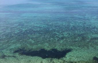 Luxury Loft on the Sea - Foto 15