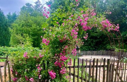 Little Lopsi - Foto 19