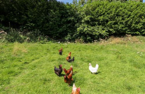 Bull Hill Cottage - Foto 23