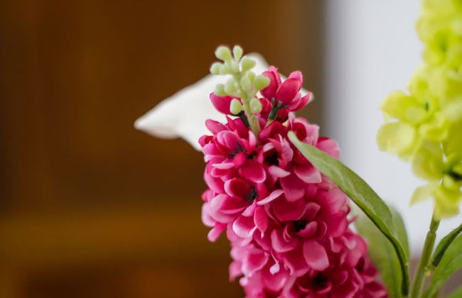 Agriturismo Il Giardino di Vigliano - Foto 38