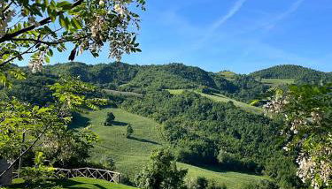 Agriturismo Il Cornio - Foto 4