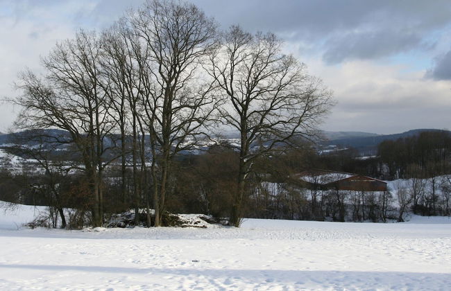 Tidy Holiday Home With Dishwasher, in a Green Area - Foto 26
