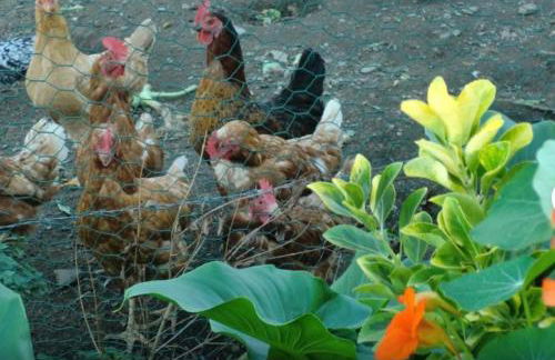 Casa completa - Photo 20