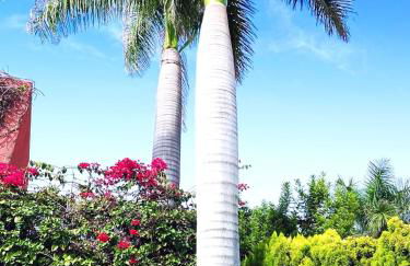 Villa Lía by SunHousesCanarias - Foto 7